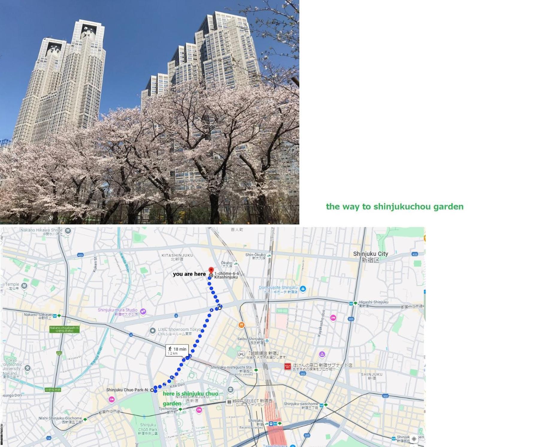 大久保駅から４分、貸切、韓国ダウン至近、新宿/歌舞伎町に徒歩圏内 、단독사용민박 Tokio Zewnętrze zdjęcie